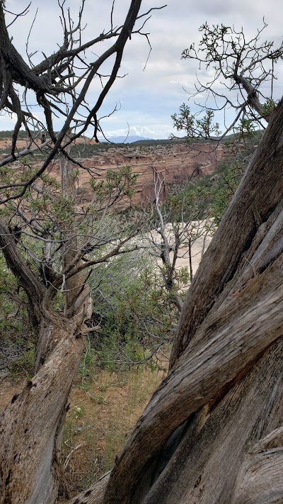 Upper Ute Canyon View