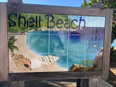 Photos of Shell Beach