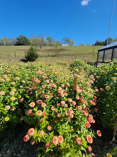 Howlin Hollar Farm