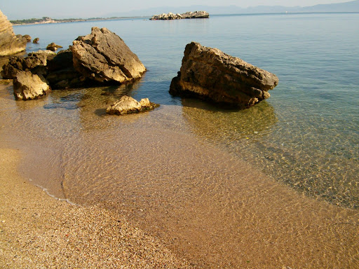 ZONAimmo - L'Escala - Thumbnail