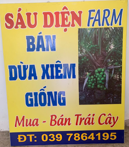 Dừa Giống Sáu Diện, Thôn Tân Sơn, Ninh Hòa, Khánh Hòa