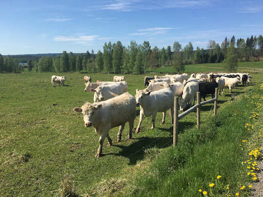 Bäcktorps Gård - Visual