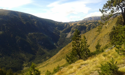 Fugues VTT - location de VTT de loisir - Thumbnail