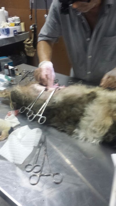 Photos of VETERINARIA ARDOCAN 24 Horas DR. ARTURO MOREIRA