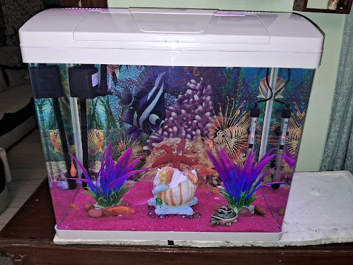 Gallery image 13