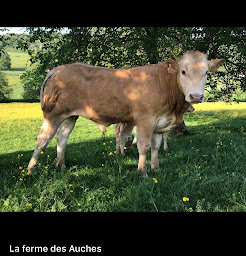 Photo n°5 de LA FERME DES AUCHES à Chariez (Ferme d'élevage)