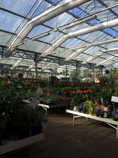 Les jardins de Maryline Gallery - France