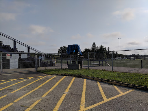 Coulter Field - Visual