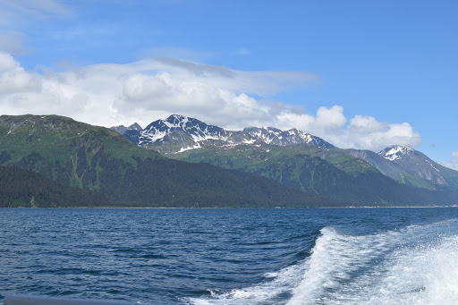 Seward Boat Harbor - Thumbnail