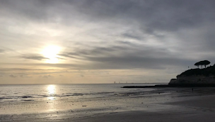 Photo n°2 de AIRE CAMPING CAR - CAMPING proche ROYAN à MESCHERS proximité attractions à Meschers-sur-Gironde (Terrain de camping)