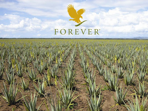 Esprit Aloe - Thumbnail