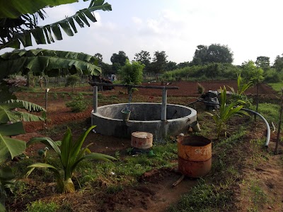 Photos of Jeevi Garden