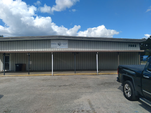 FTFFA Coop Store - Visual
