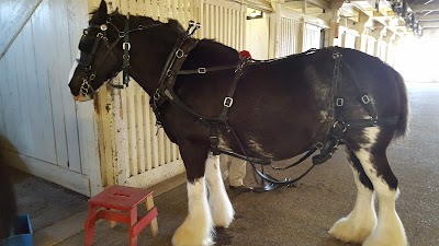 Kentucky Horse Park Foundation