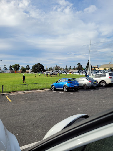 Centenary Oval - Thumbnail