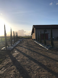 Photo n°9 de mdc paysage à Saint-Trivier-sur-Moignans (Paysagiste)