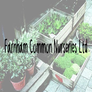 Farnham Common Nurseries Ltd