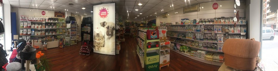 I Miei Amici Di Manzione Enrico