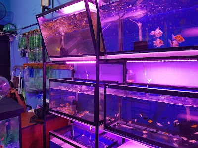 Photos of Sayurka Aquarium
