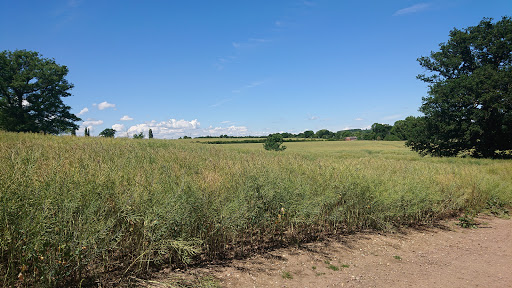Halstead Park - Visual