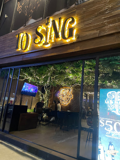 To Sing - Visual