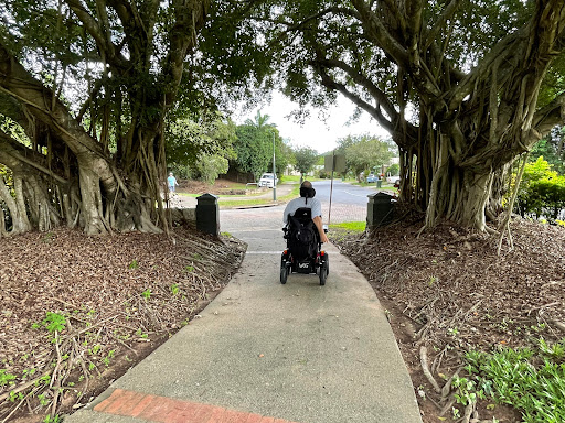 Fig Park - Thumbnail