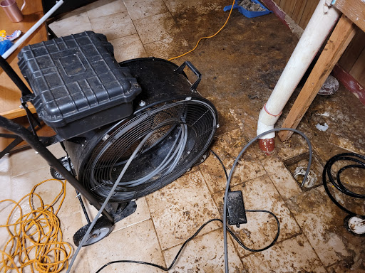 Pro Rooter - Visual