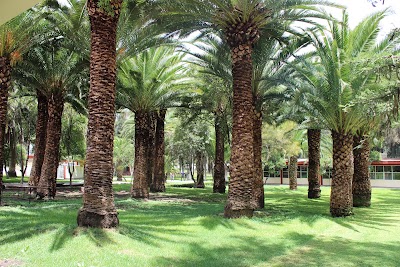 Photos of Universidad Polit&eacute;cnica de Francisco I. Madero