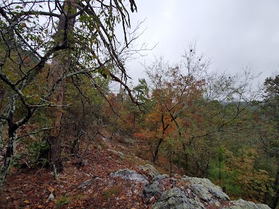 Goat Rock Trail