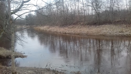 Menģeles Skatu Tornis