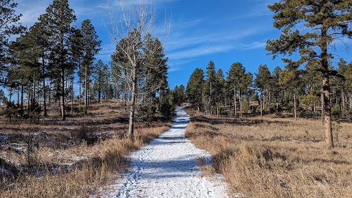 Stratobowl Rim Trailhead - Thumbnail
