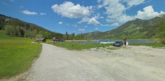 http://www.schwarzsee.ch/