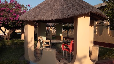 Photos of Haven Palm