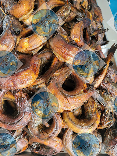 African fish - Visual