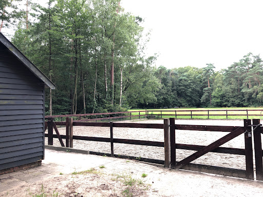 Randerode Park - Visual