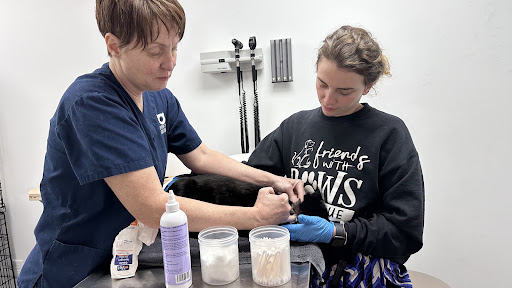 The NEPA Rescue Veterinary Clinic at Indraloka Gallery - United States