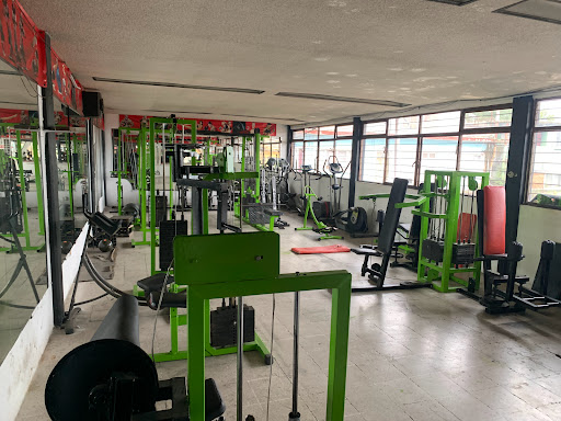The gym 300 - Thumbnail