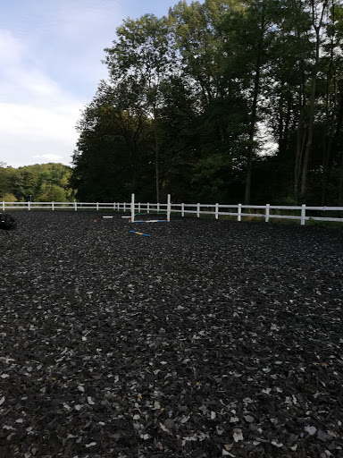 Reiterhof Heinke - Thumbnail
