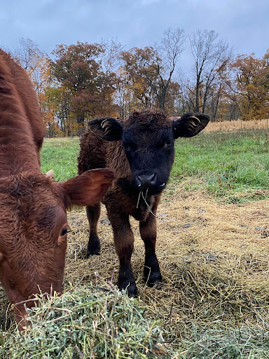 Doctor Family Farms - Thumbnail