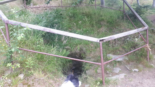 Opinii despre Jaskinia w Trzech Kopcach în Szczyrk - Muzeum