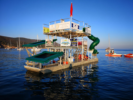 Jungle Float Elba - Visual