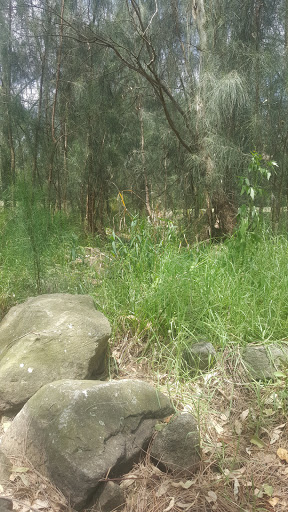 Broughton Reserve - Thumbnail