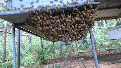 Saveur de Guinée Agri-Tech