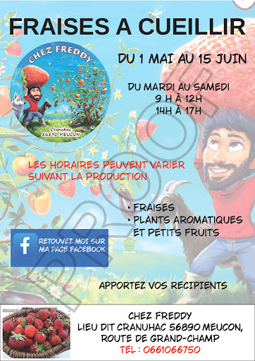 Photo 5 - Feu et Fumée