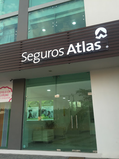 Seguros Atlas SA - Thumbnail