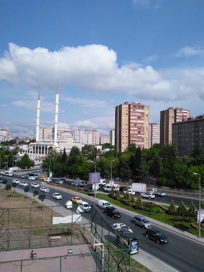 Basketbol Sahası