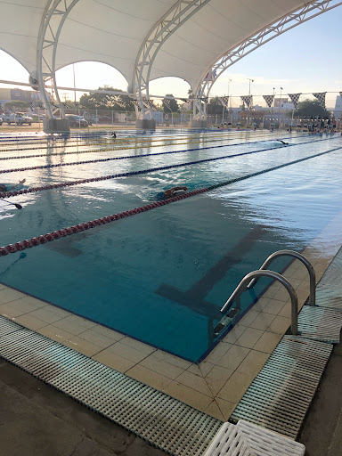 Olympic pool SAHOP - Visual