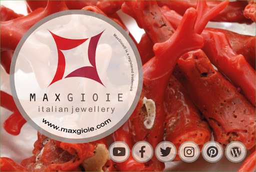 MaxGioie - Visual