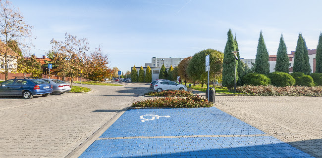 Kryta Pływalnia Delfin