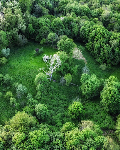 Leguzzano - Visual